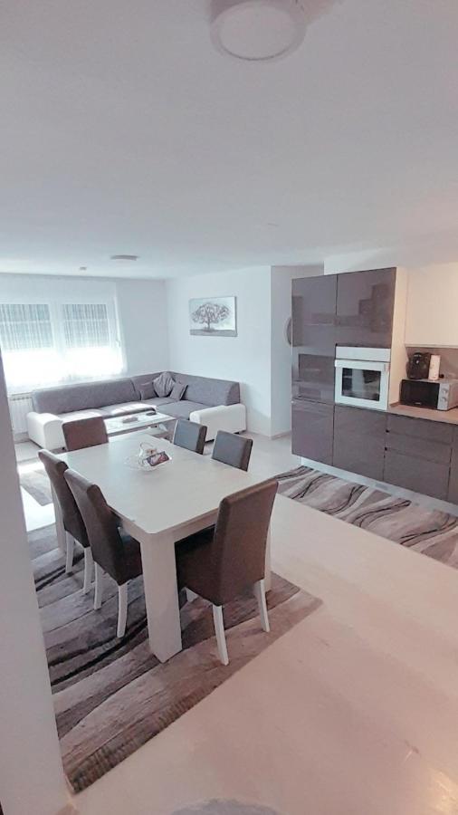 Apartman Lela 카를로바츠 외부 사진