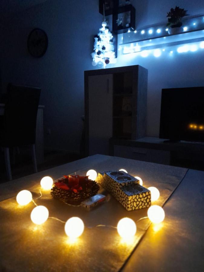 Apartman Lela 카를로바츠 외부 사진
